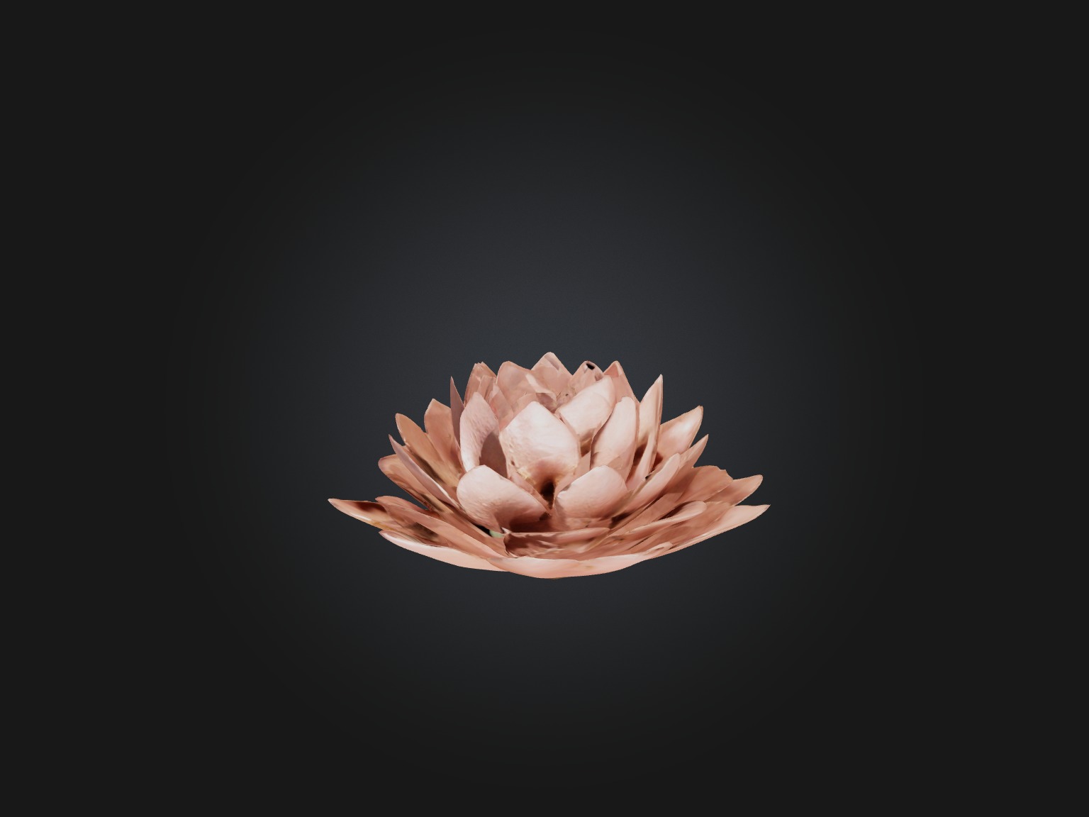 Desert Rose Model Low-poly 3D model_3
