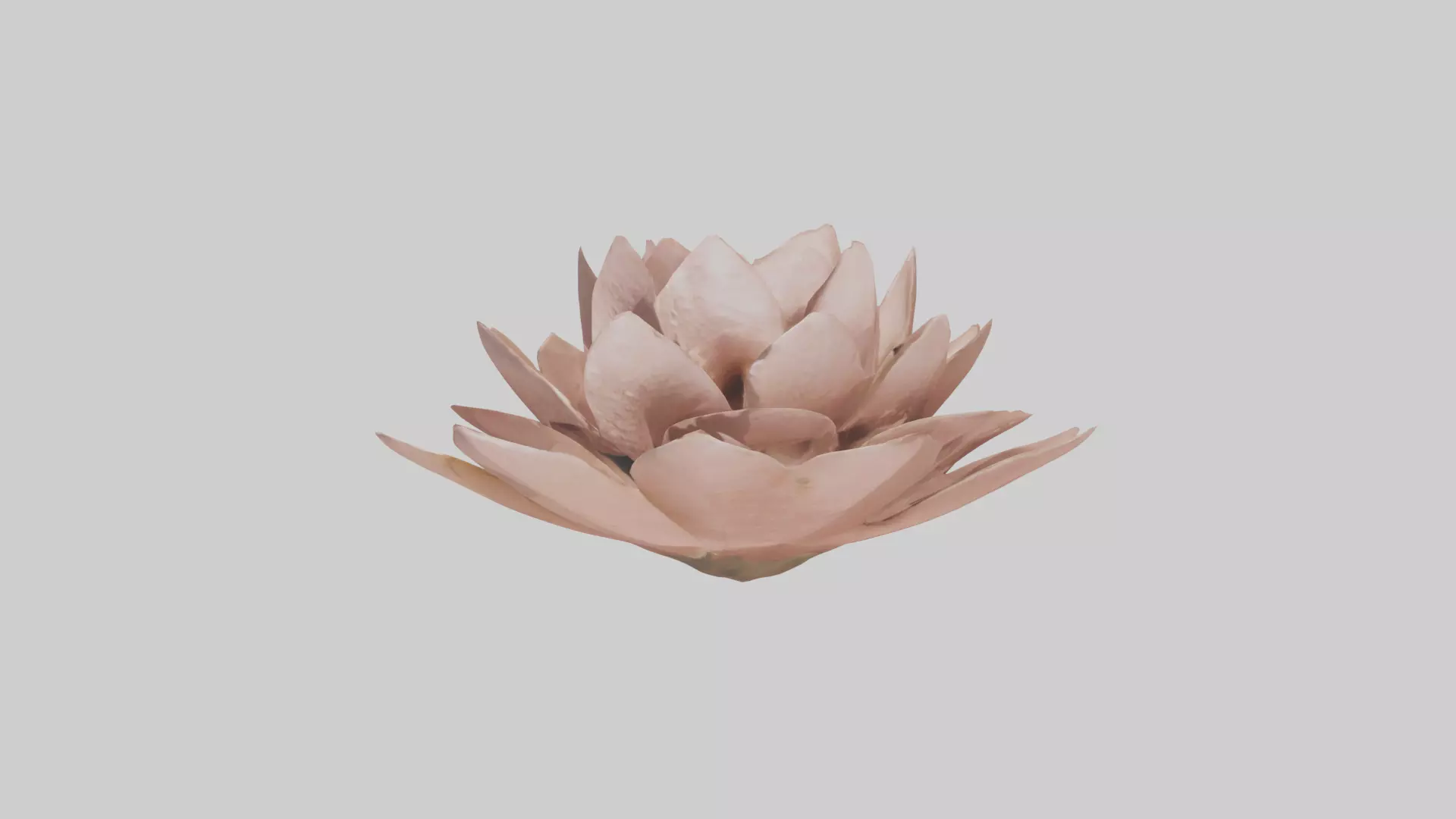 Desert Rose Model Low-poly 3D model_0