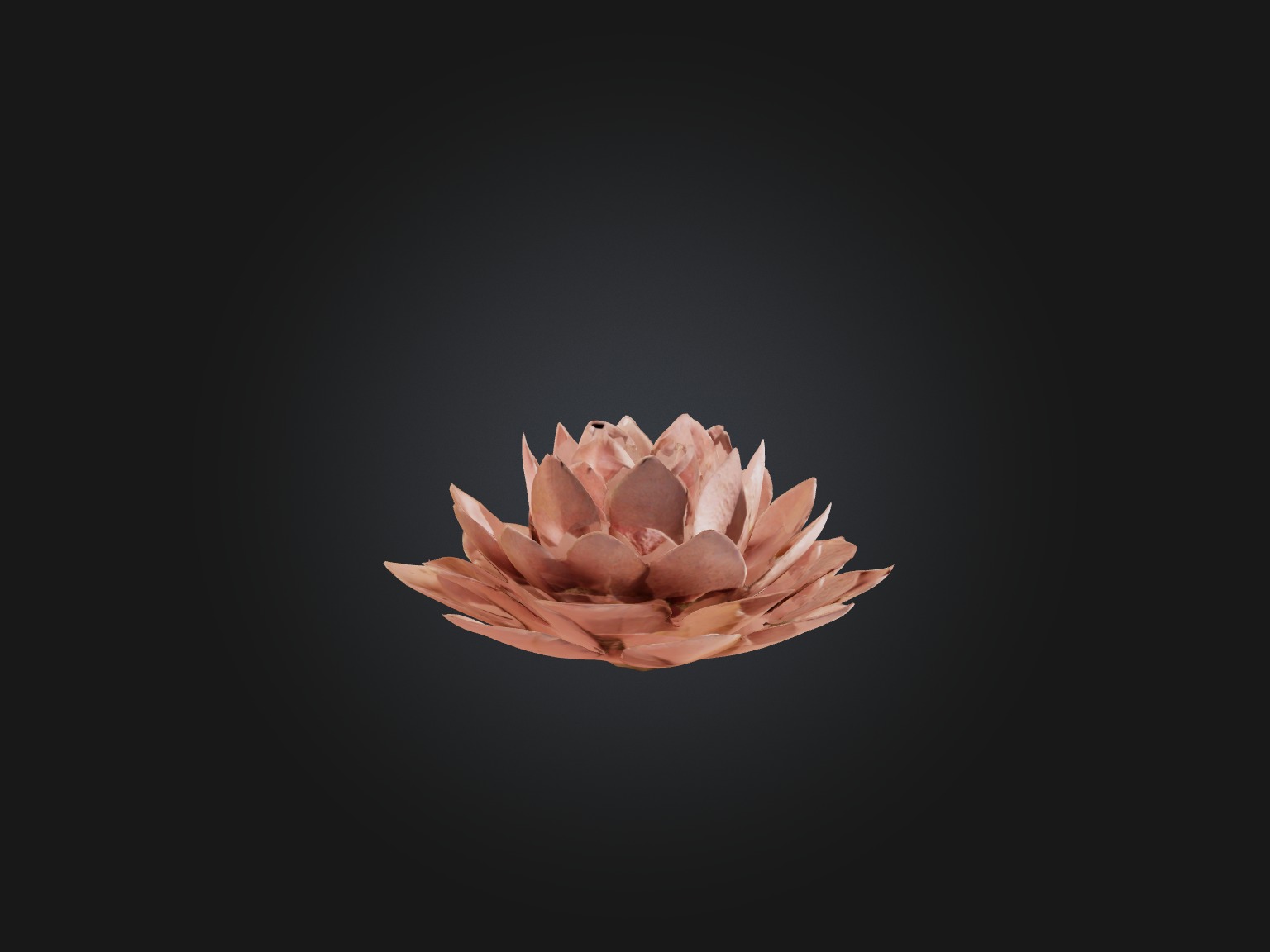 Desert Rose Model Low-poly 3D model_12