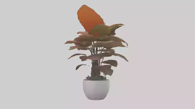 Croton Model