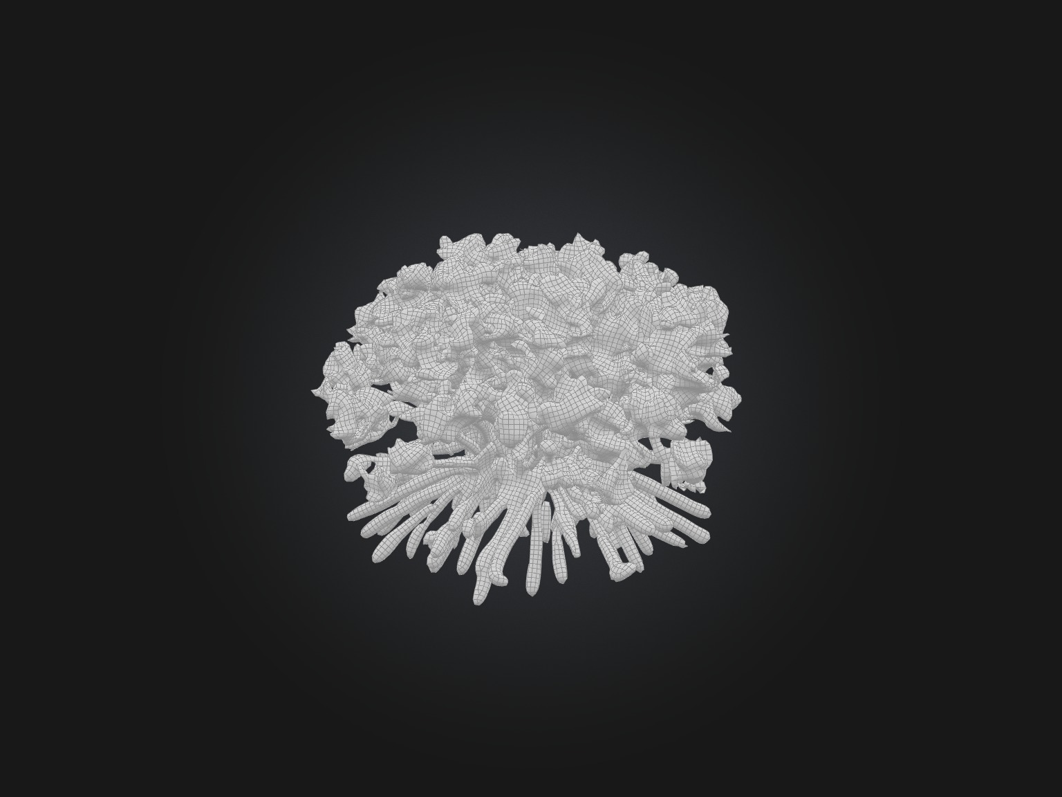 Cilantro Model Low-poly 3D model_4