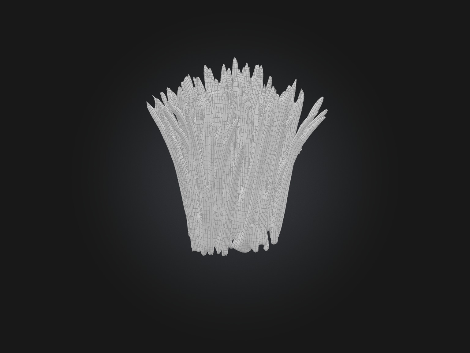 Chives Model Low-poly 3D model_8