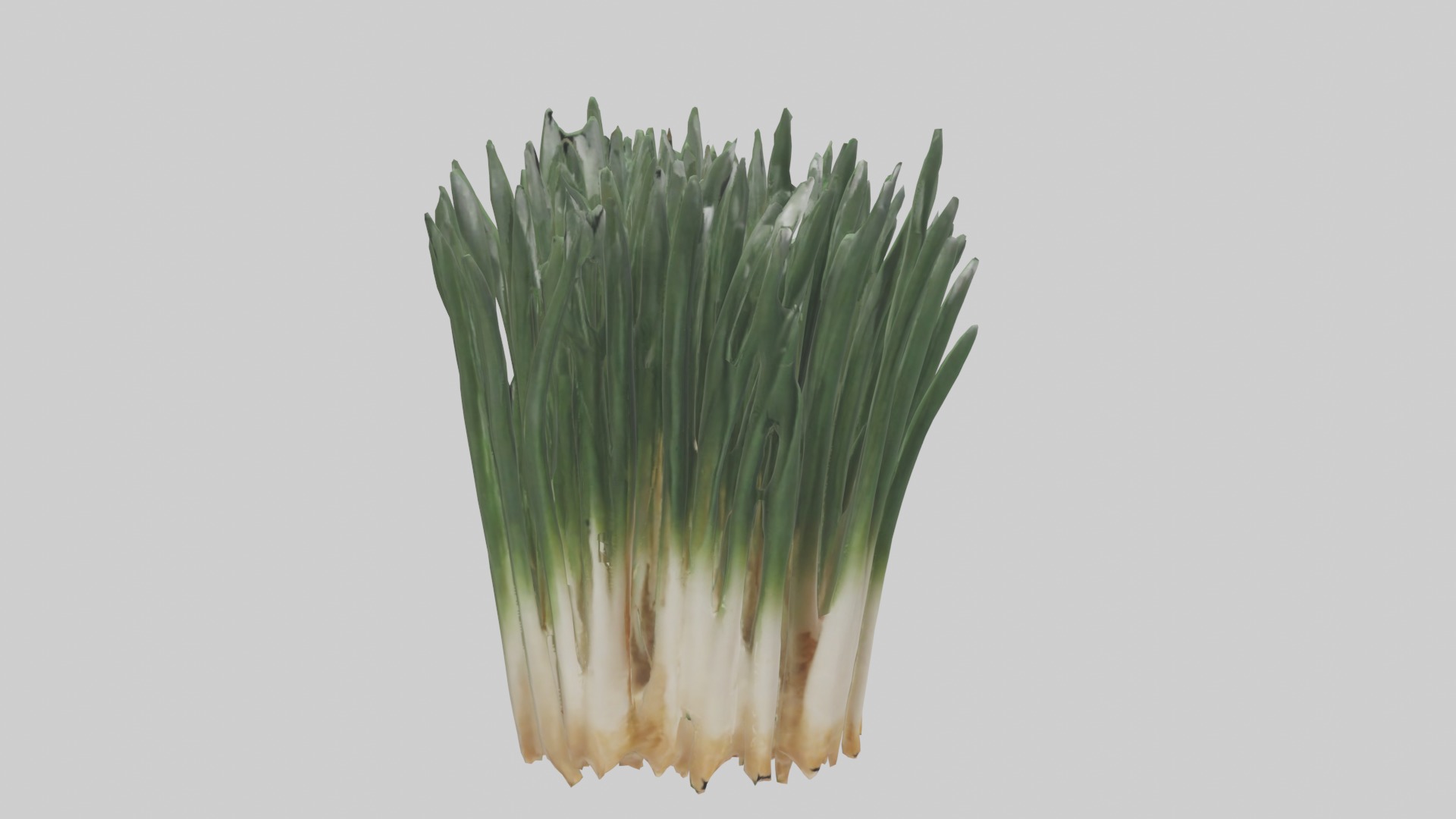Chives Model Low-poly 3D model_5