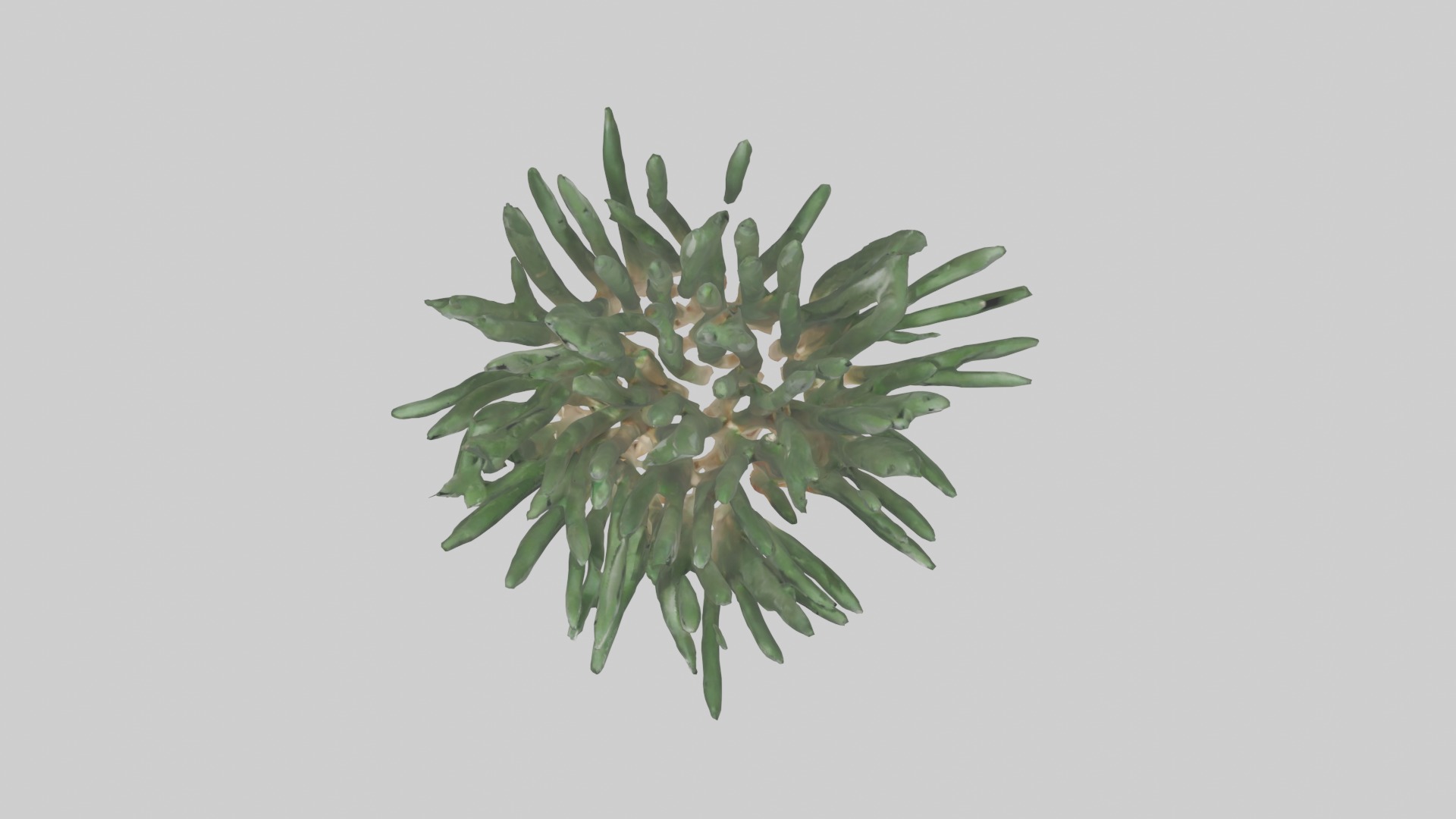Chives Model Low-poly 3D model_3
