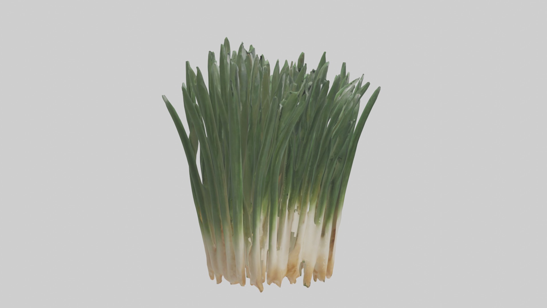 Chives Model Low-poly 3D model_18