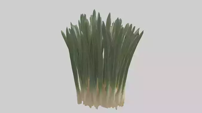 Chives Model Low-poly 3D model