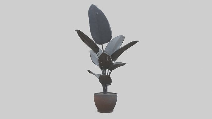 Cast Iron Plant Model Low-poly 3D model