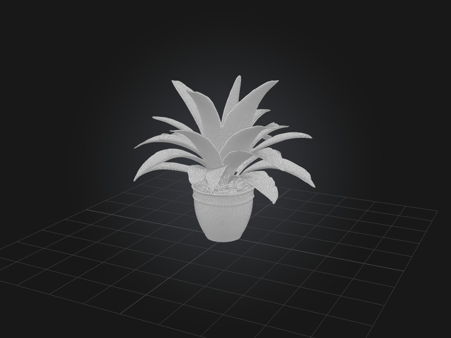 Calathea Model Low-poly 3D model_8