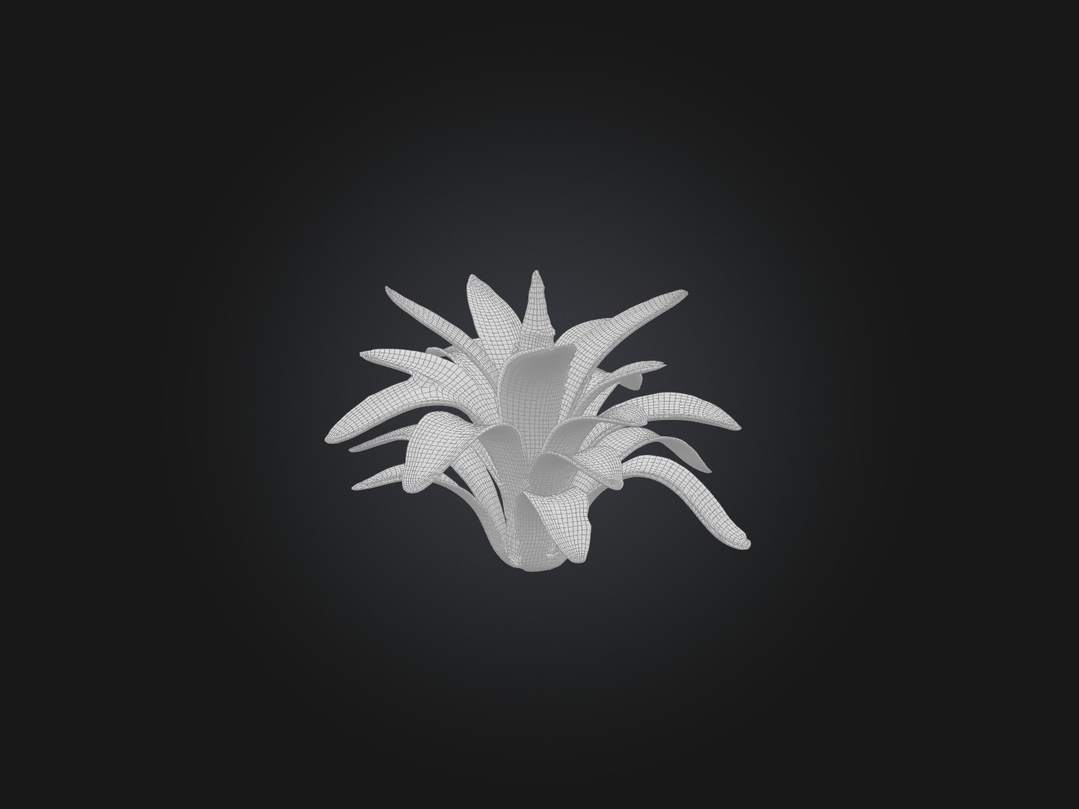 Bromeliad Model Low-poly 3D model_2