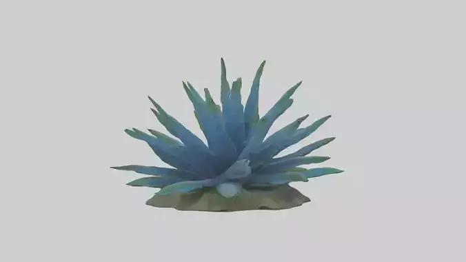 Blue Star Fern Model