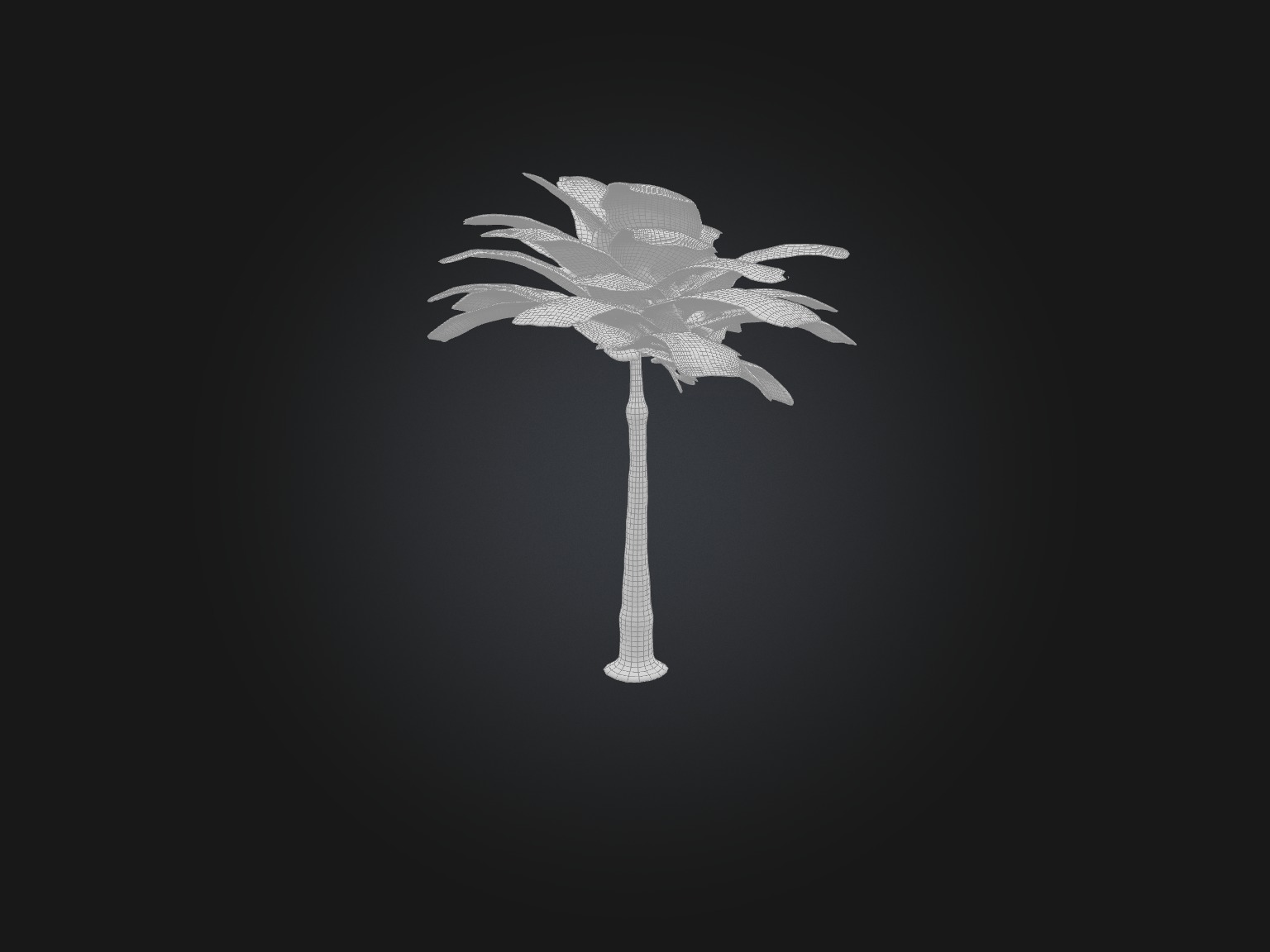 Bamboo Palm Model Low-poly 3D model_8