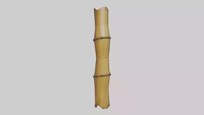 Bamboo Cane Model