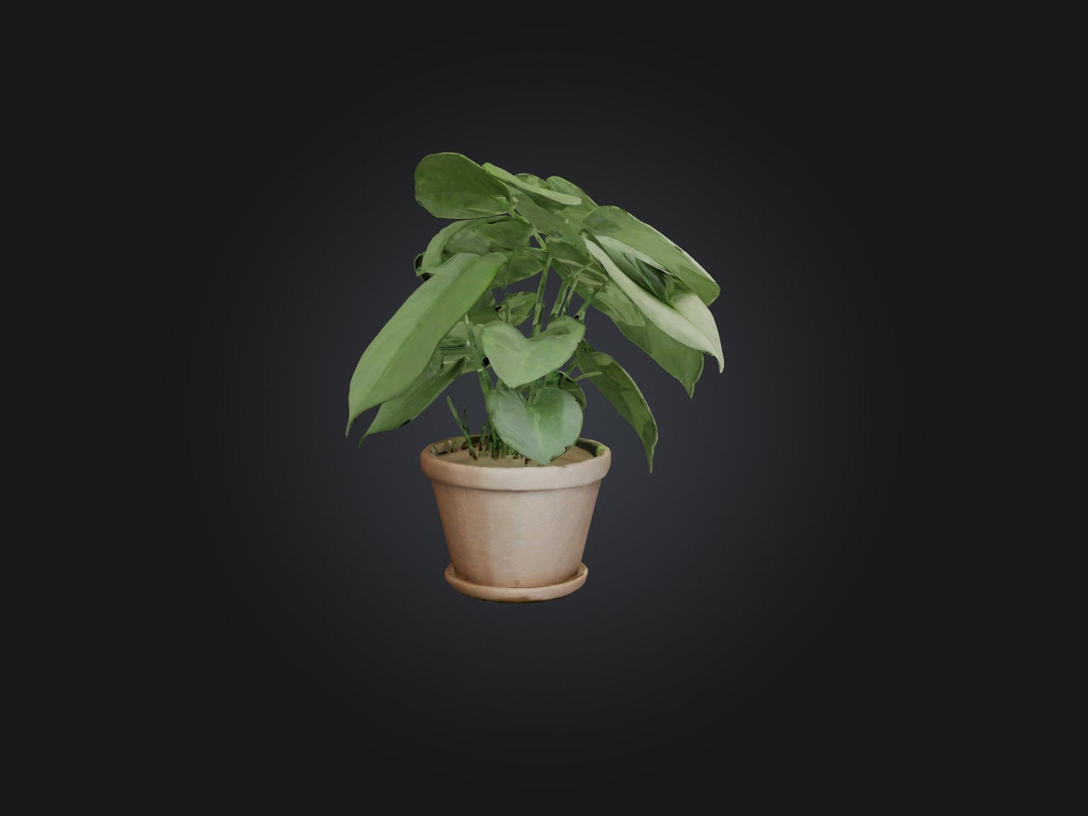 Arrowhead Plant Model Low-poly 3D model_12