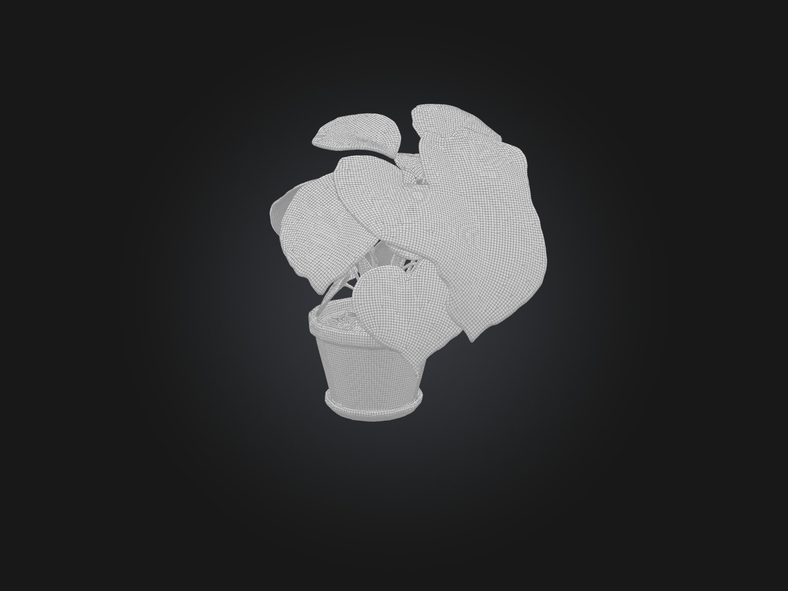 Arrowhead Plant Model Low-poly 3D model_8