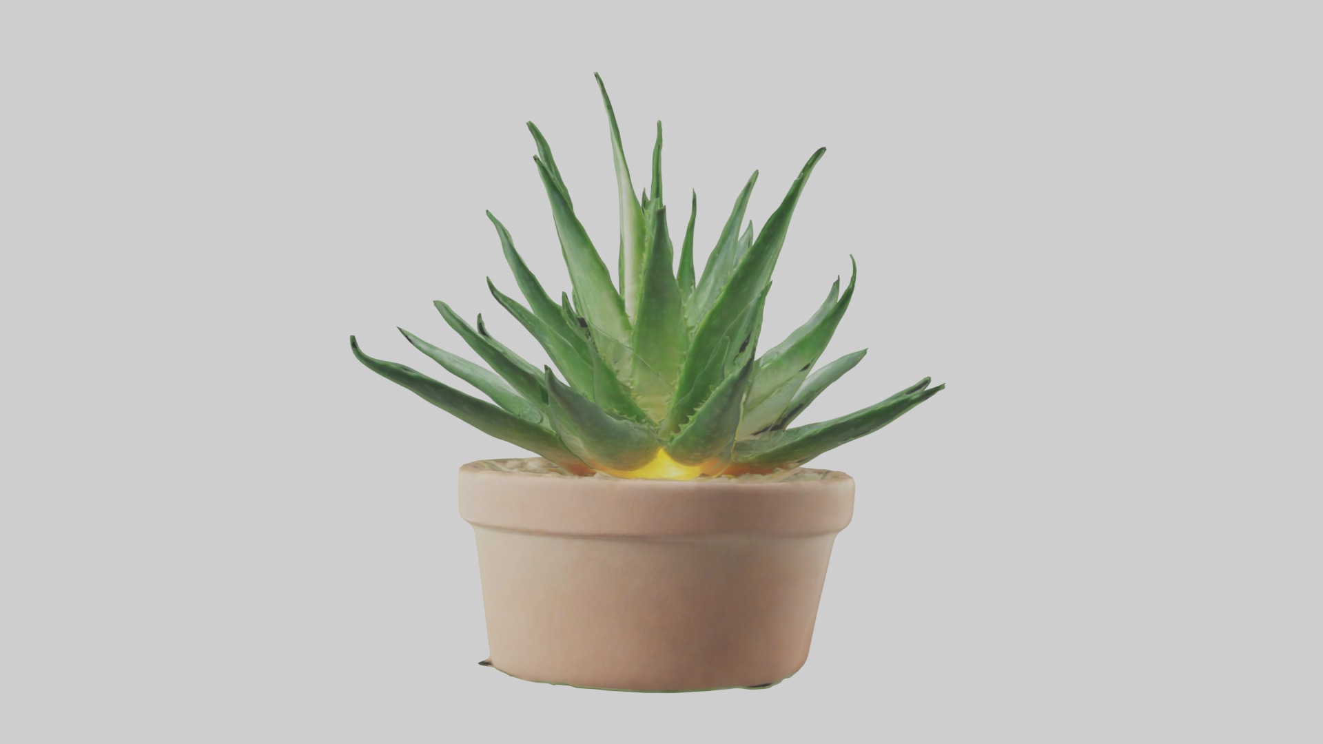 Aloe Vera Model Low-poly 3D model_2