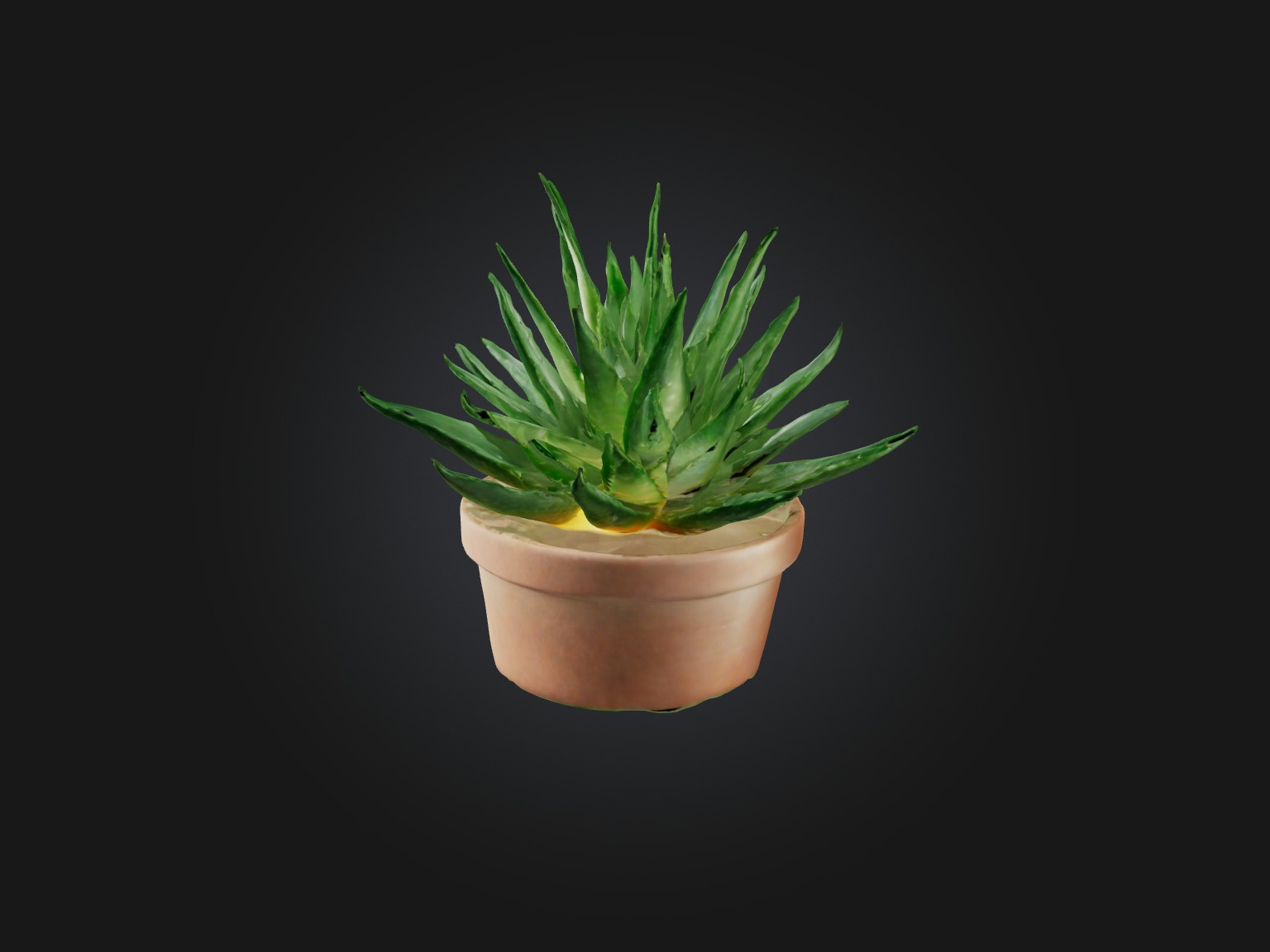 Aloe Vera Model Low-poly 3D model_7