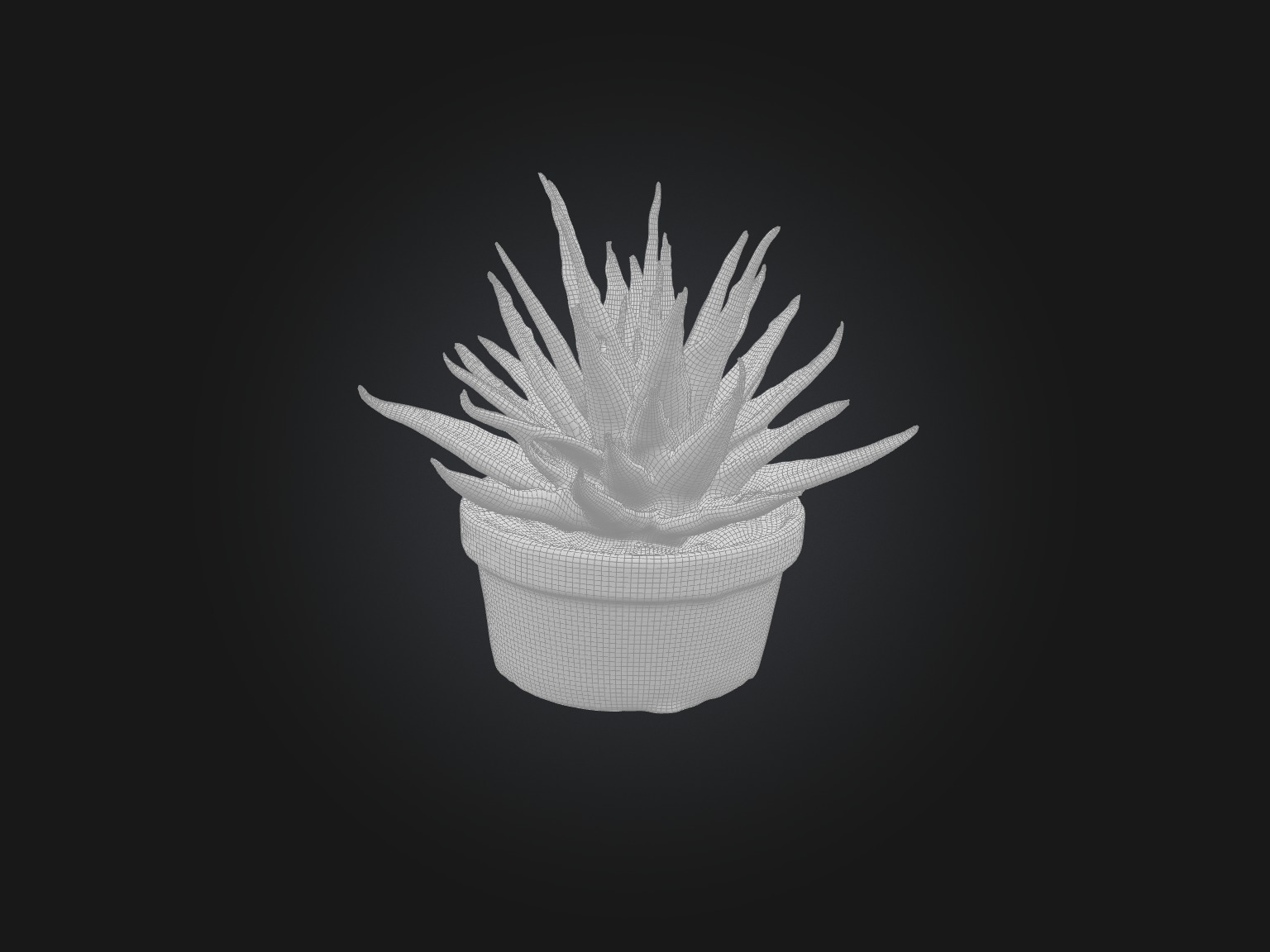 Aloe Vera Model Low-poly 3D model_8
