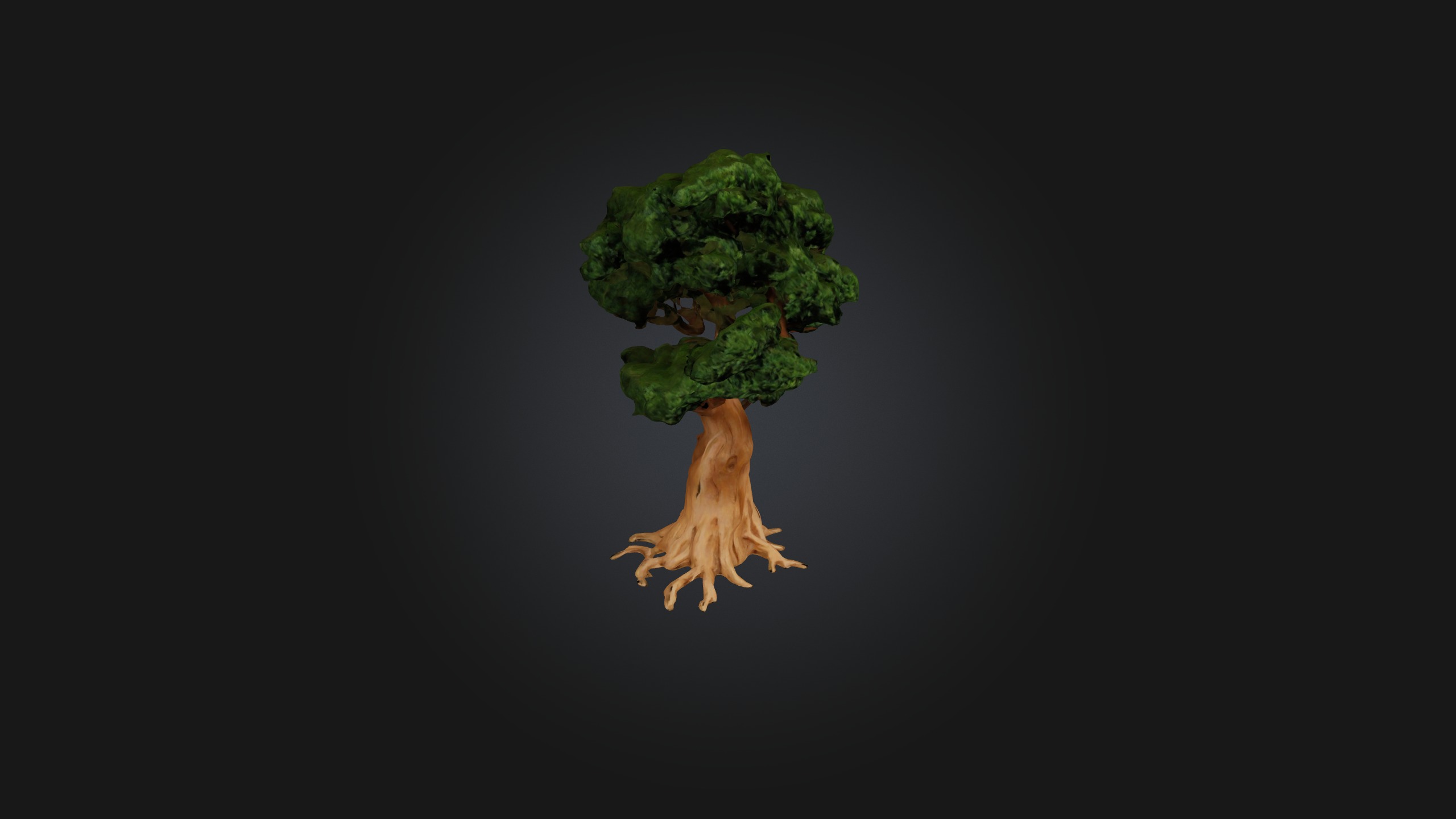 Yew Tree Model Low-poly 3D model_4