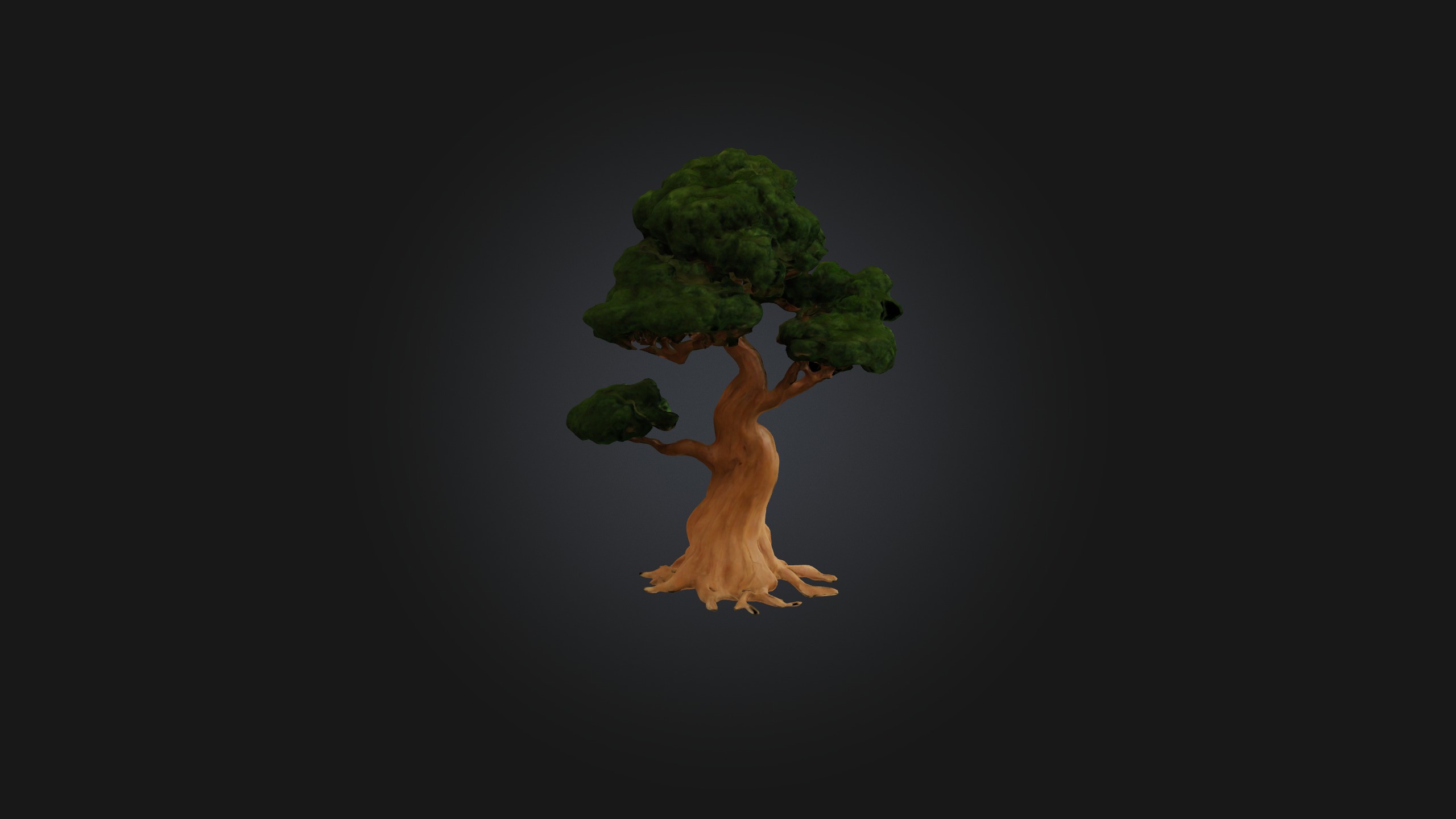 Yew Tree Model Low-poly 3D model_7