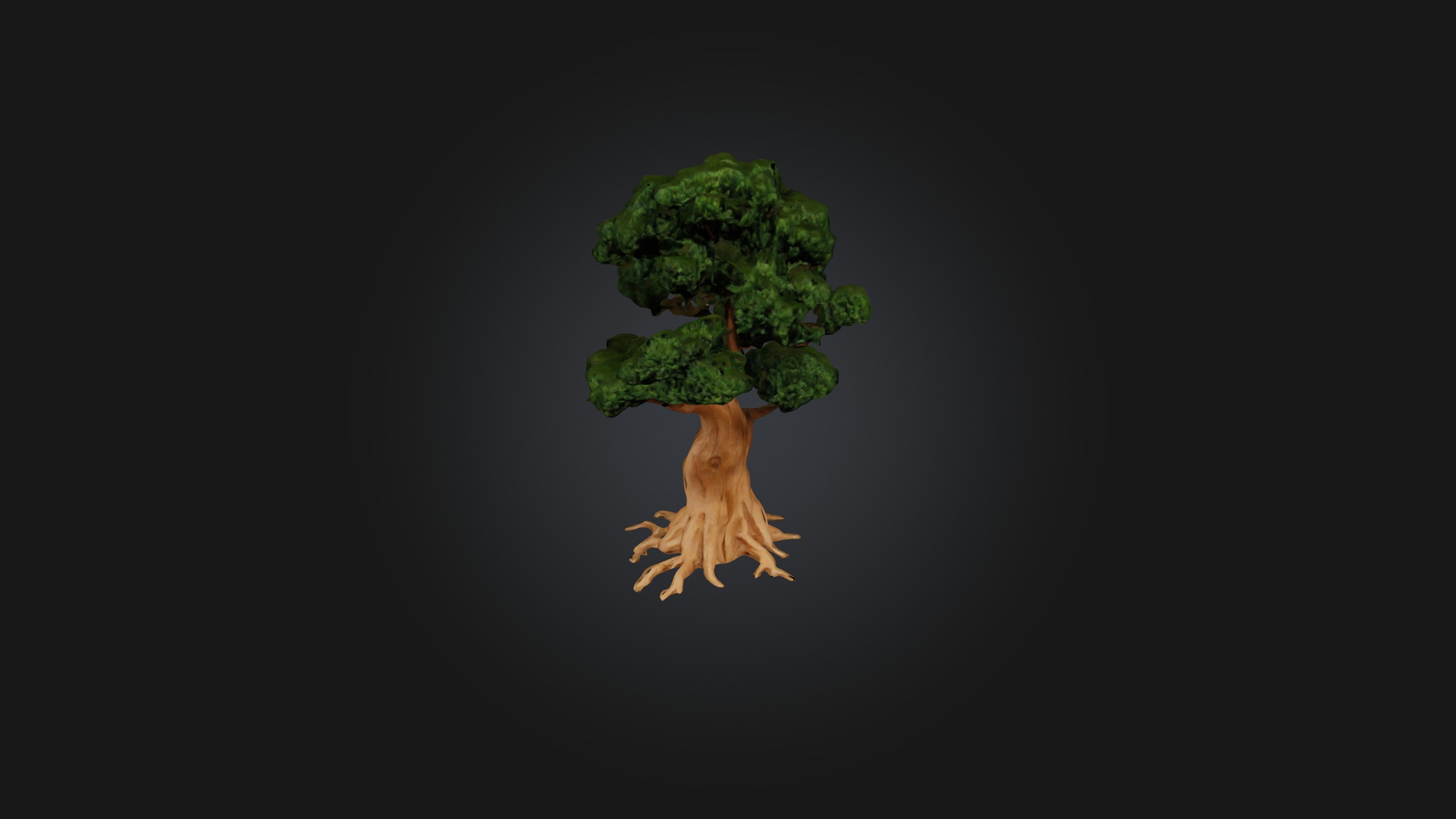 Yew Tree Model Low-poly 3D model_3
