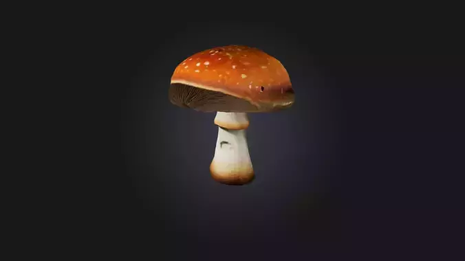 Wild Mushroom Model