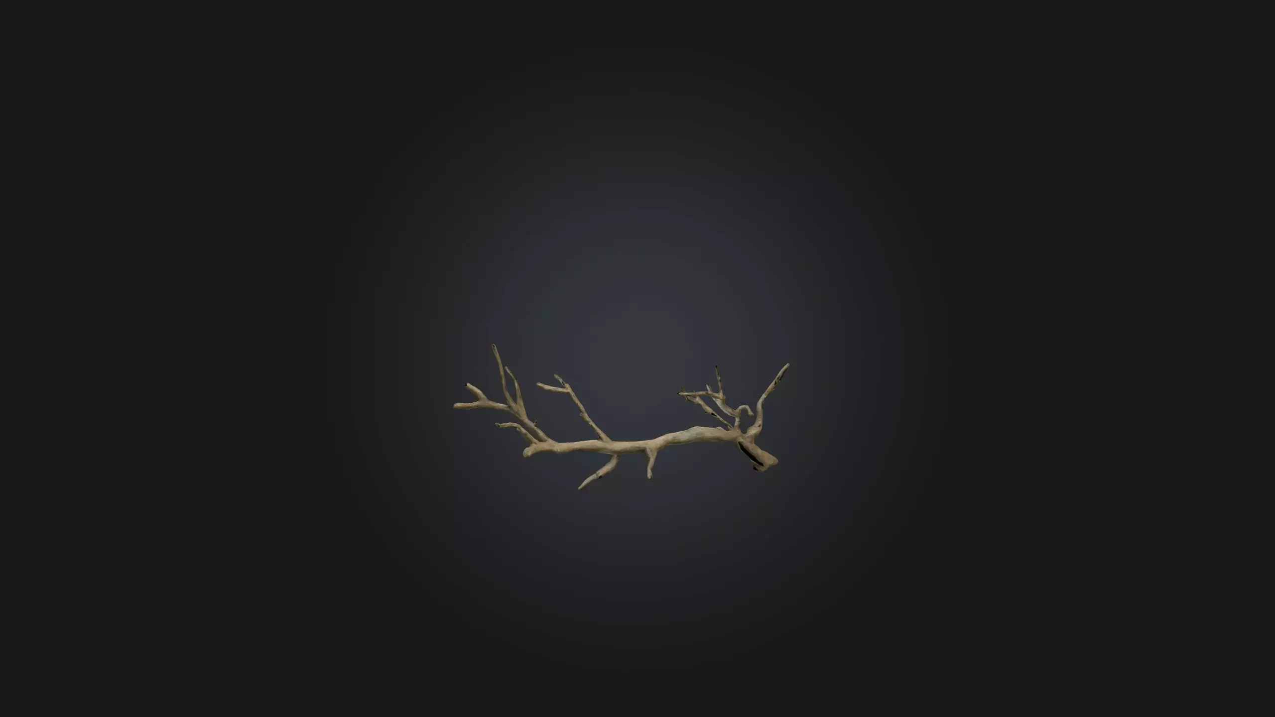 Twig Model Low-poly 3D model_0