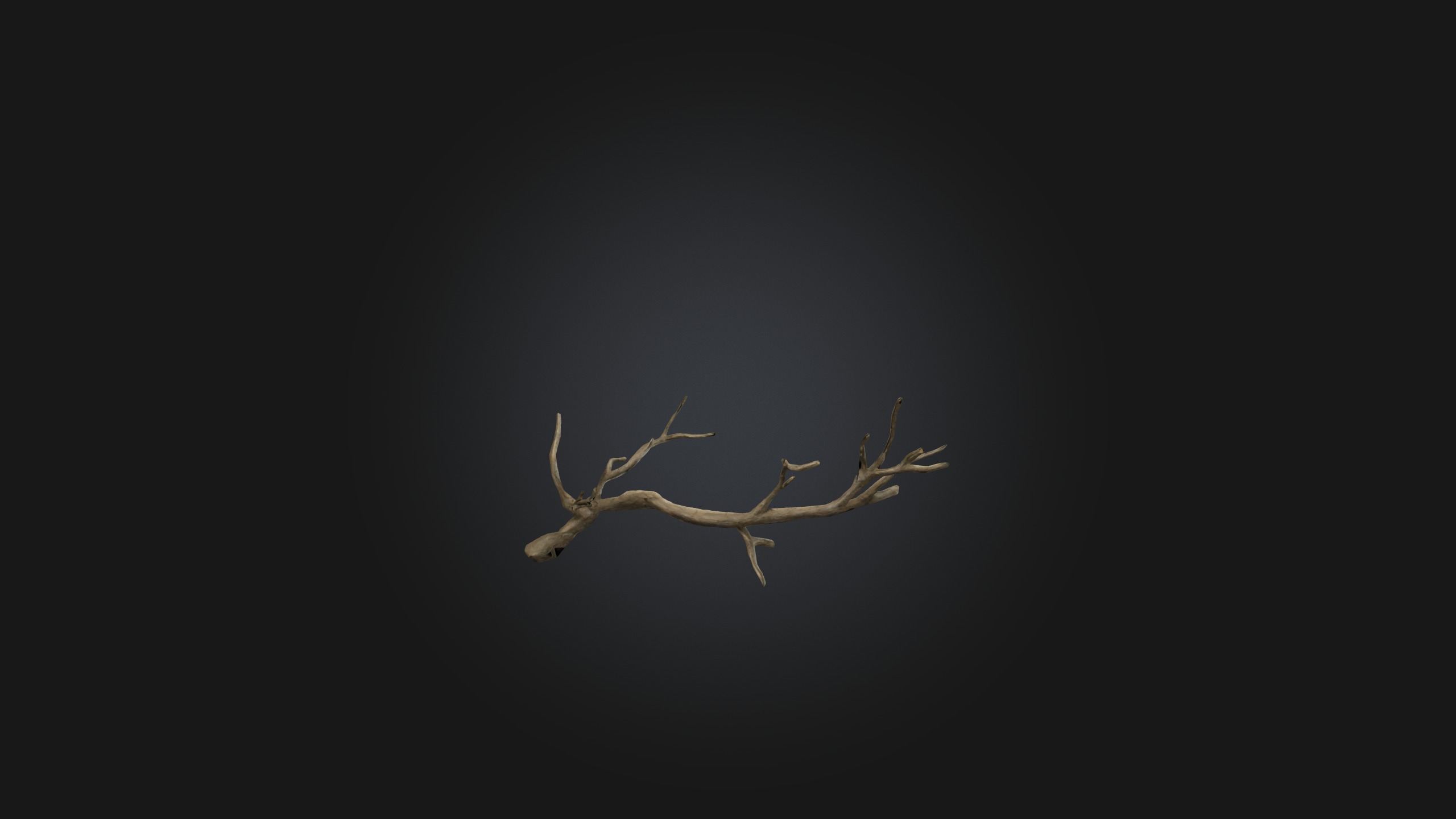 Twig Model Low-poly 3D model_6