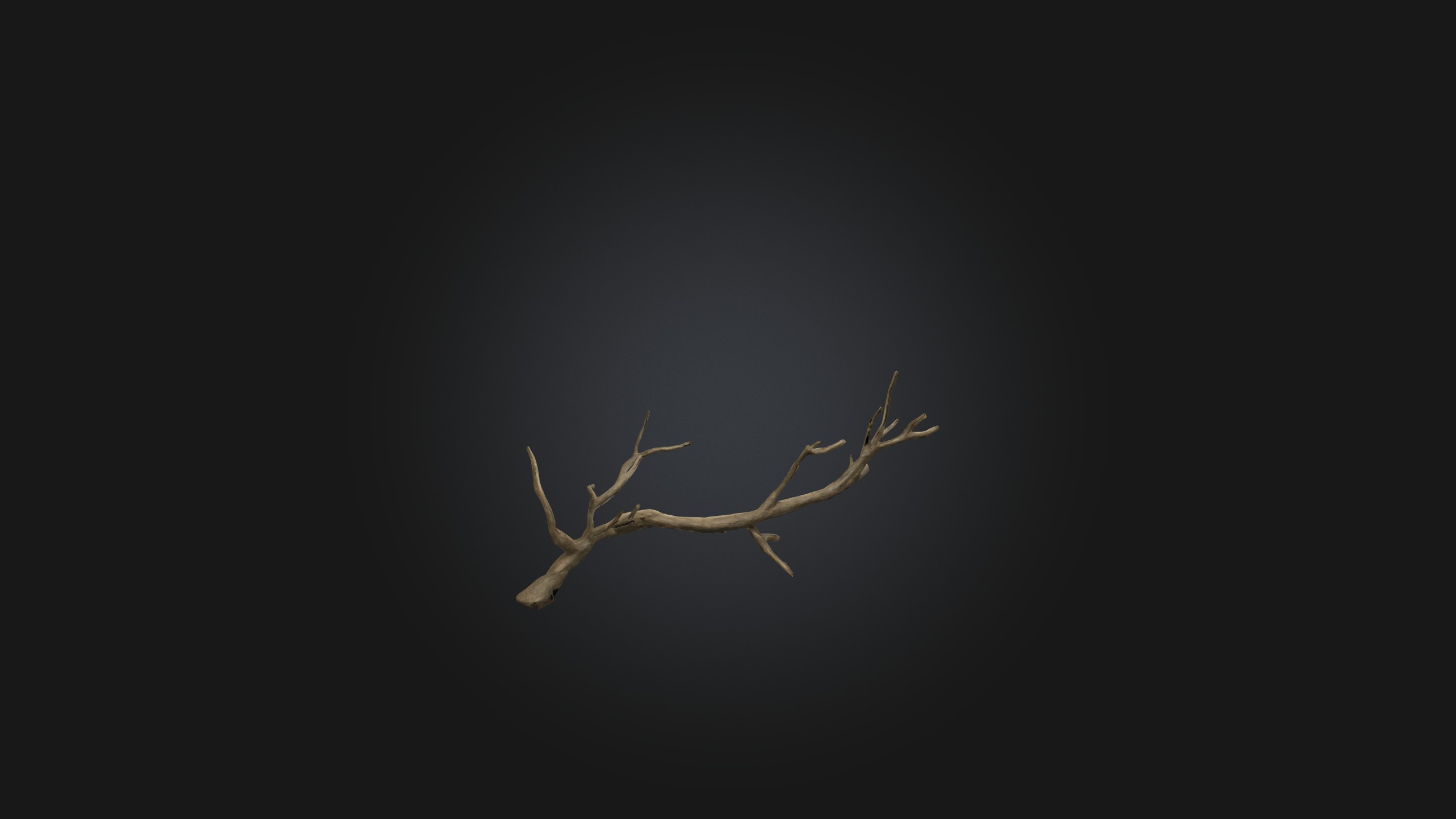 Twig Model Low-poly 3D model_7