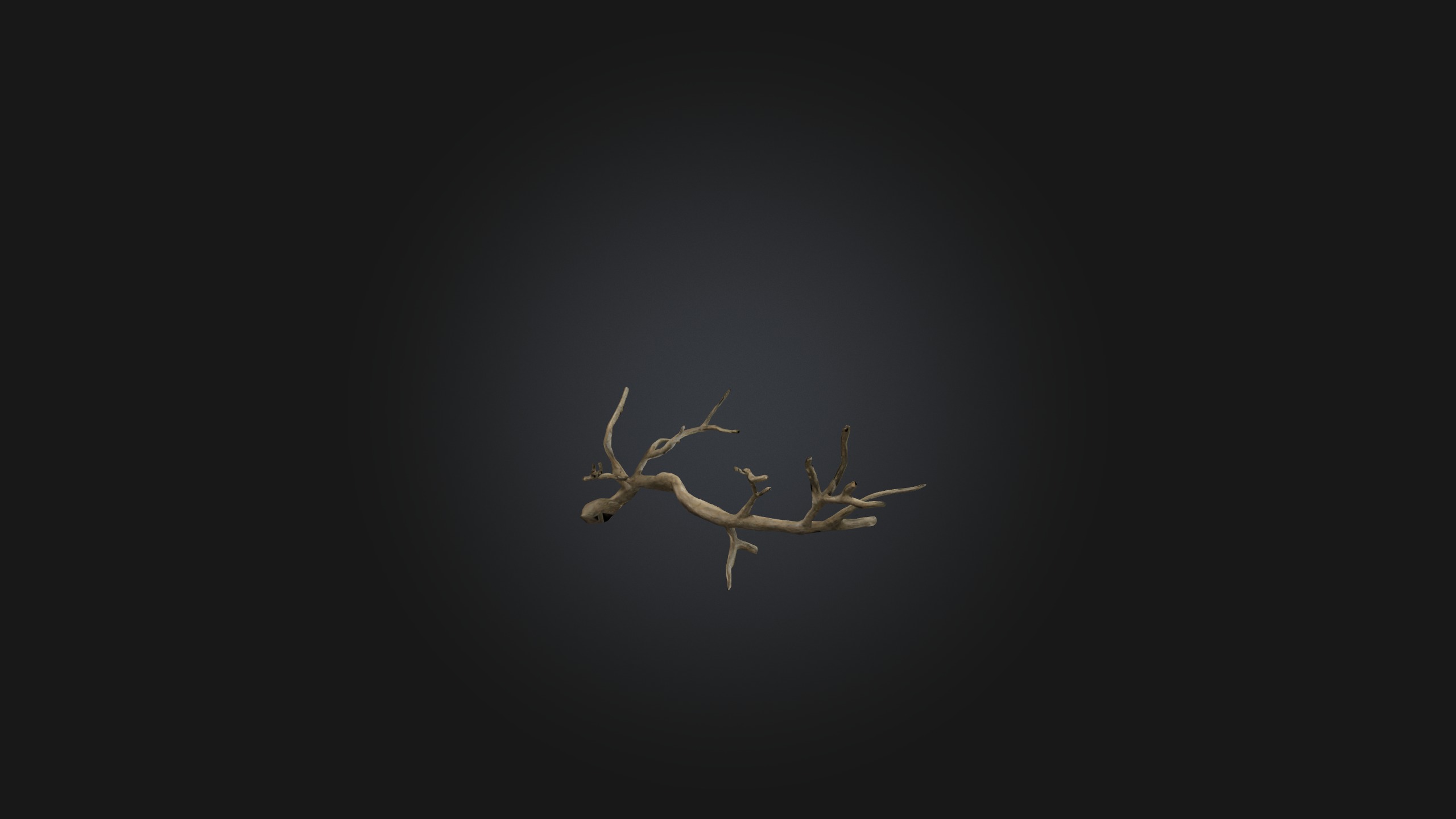 Twig Model Low-poly 3D model_5