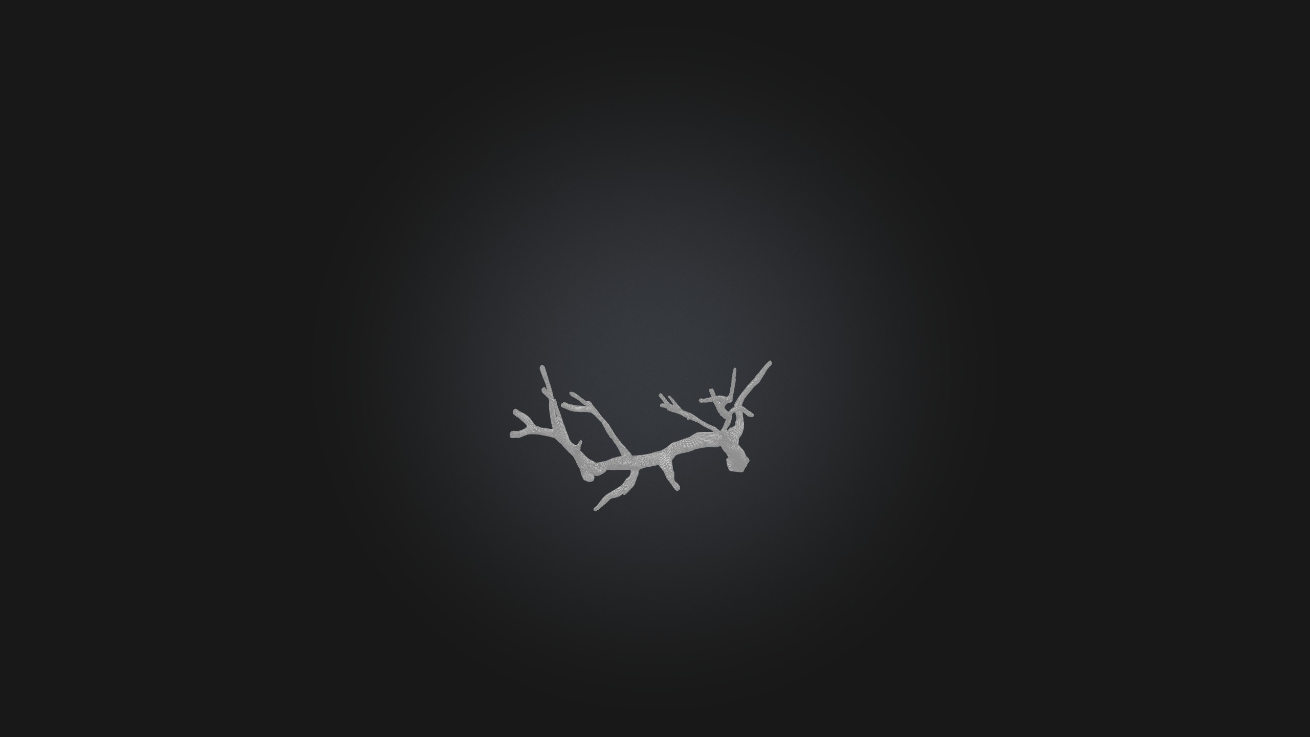 Twig Model Low-poly 3D model_2