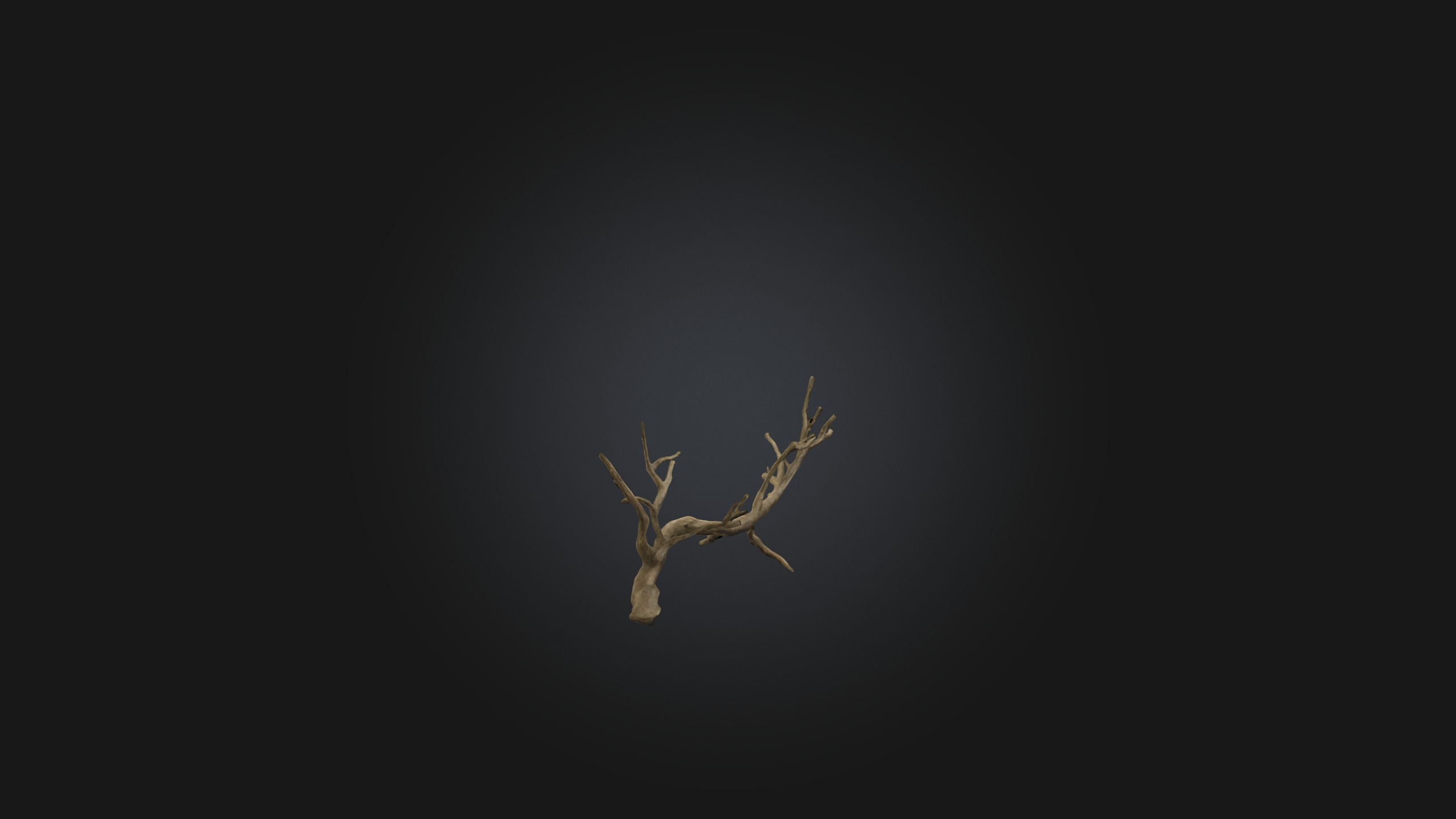 Twig Model Low-poly 3D model_8
