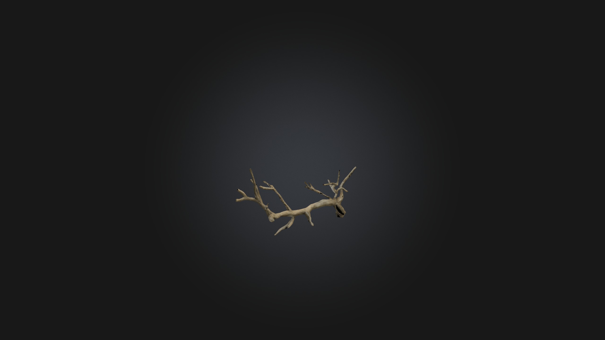 Twig Model Low-poly 3D model_1