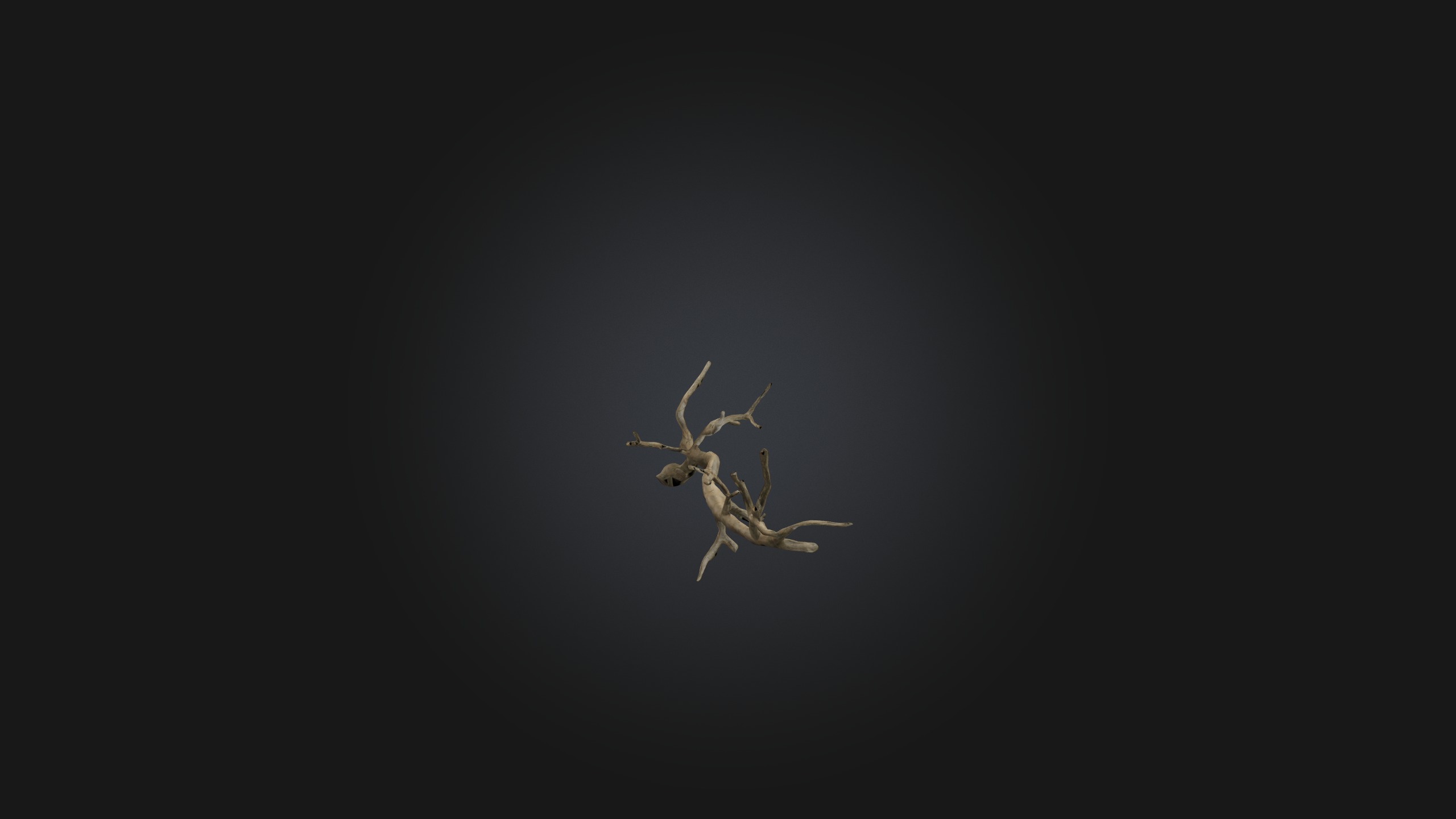 Twig Model Low-poly 3D model_4