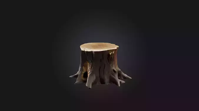 Tree Stump Model Low-poly 3D model