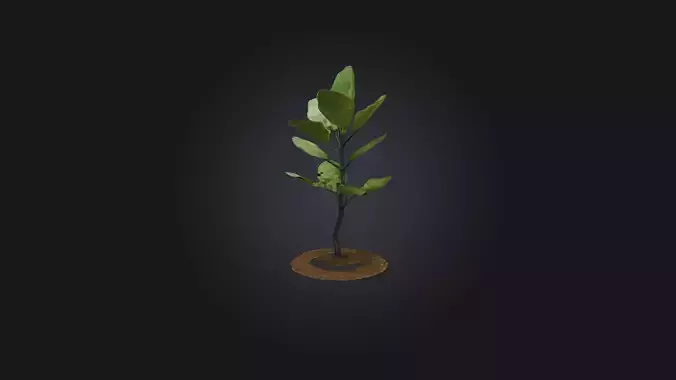 Tree Sapling Model