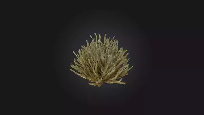 Thorny Bush Modelav