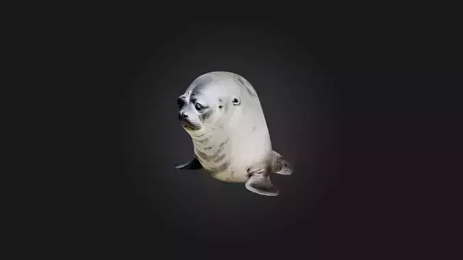 Sitting Seal