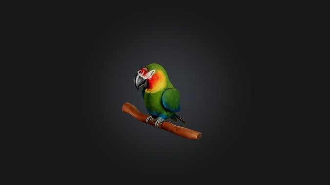 Sitting Parrot Low-poly 3D model