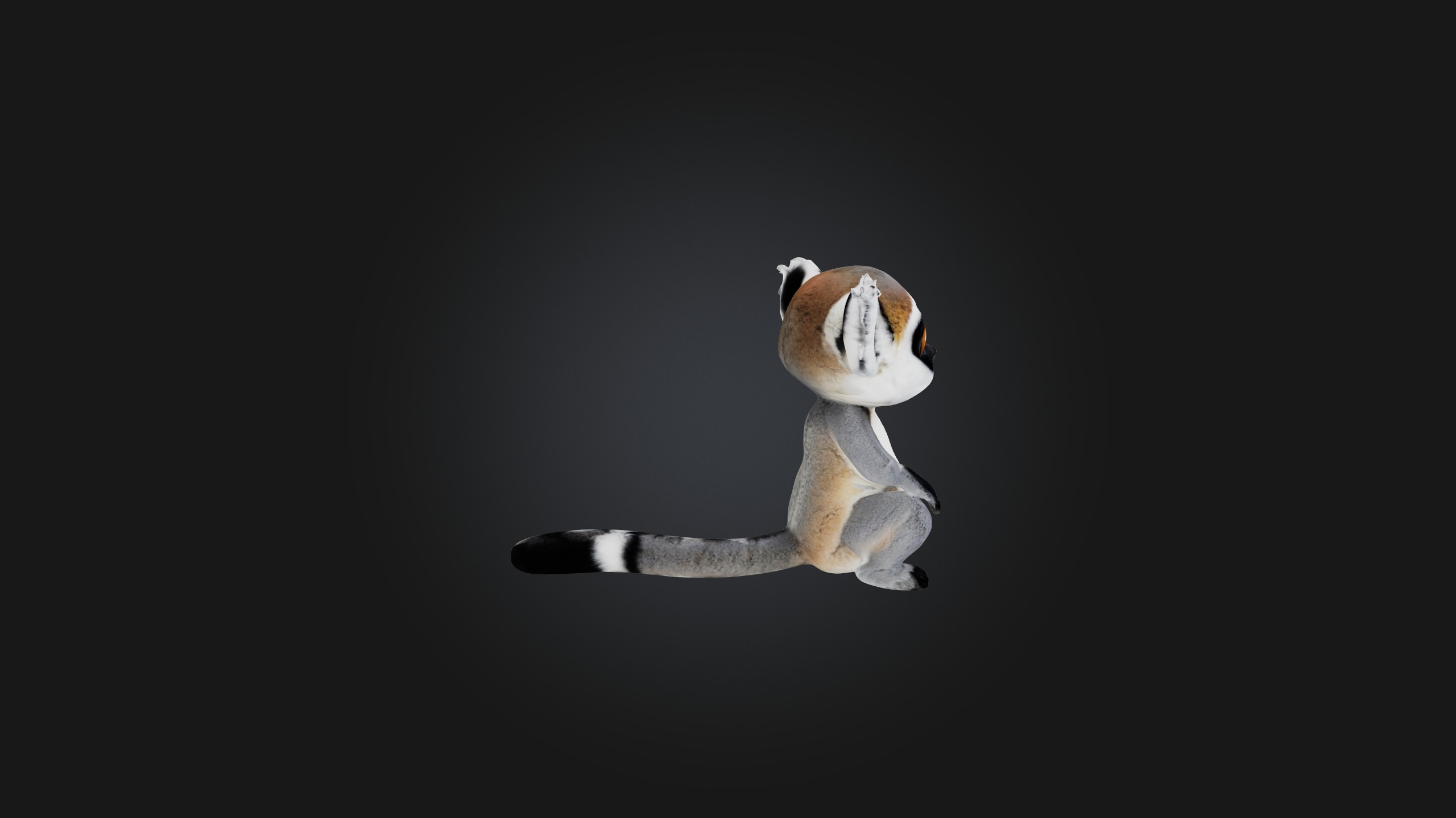Sitting Lemur Low-poly 3D model_8