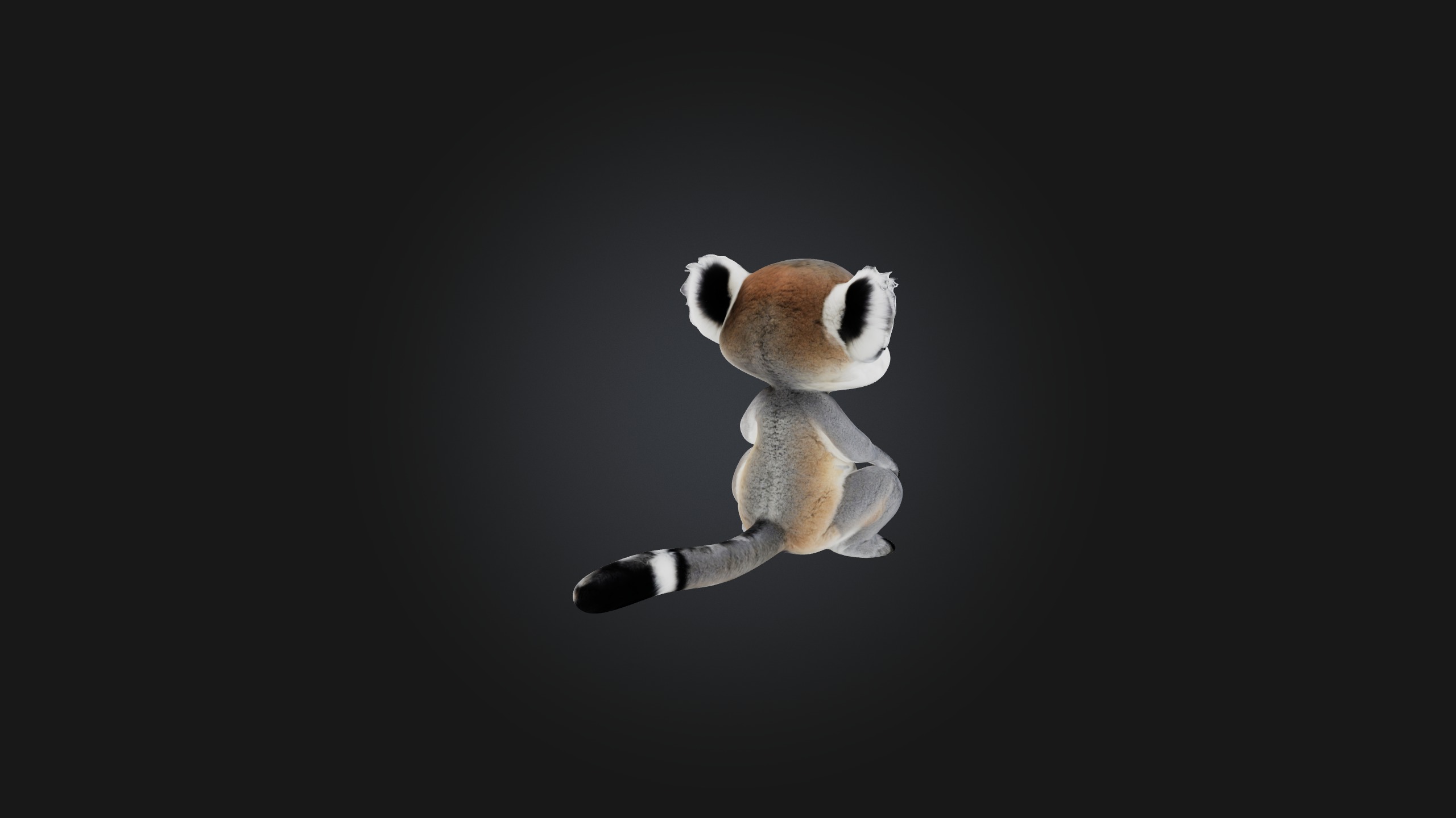 Sitting Lemur Low-poly 3D model_9