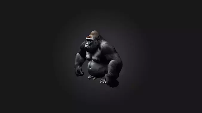 Sitting Gorilla