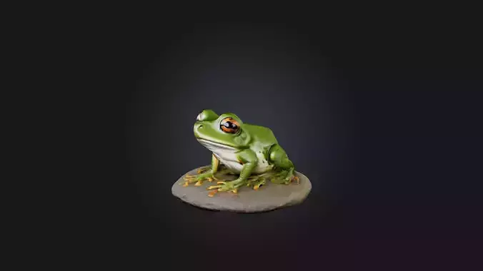 Sitting Frog