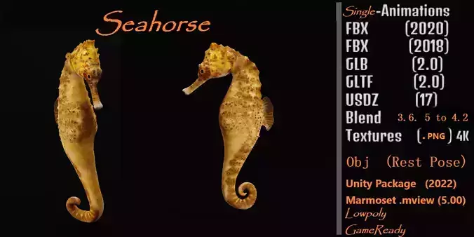 Seahorse Fish Low-poly 3D model