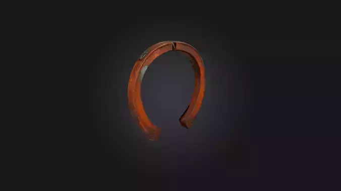 Rusted Horse Shoee