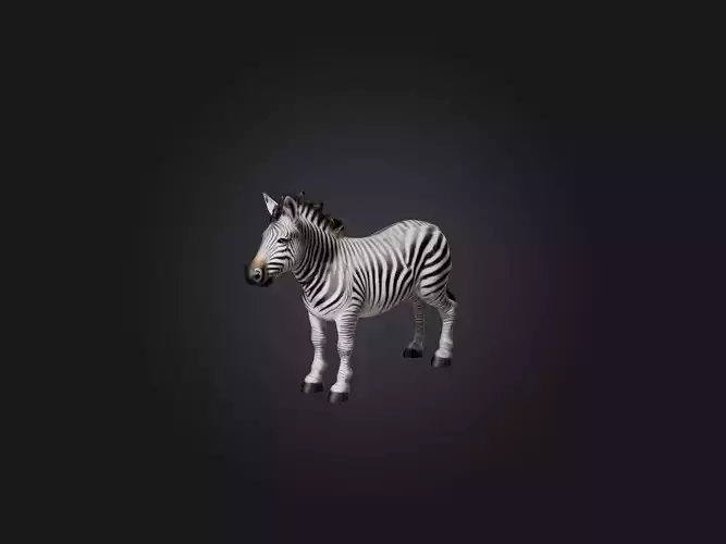 Realistic Zebra Model