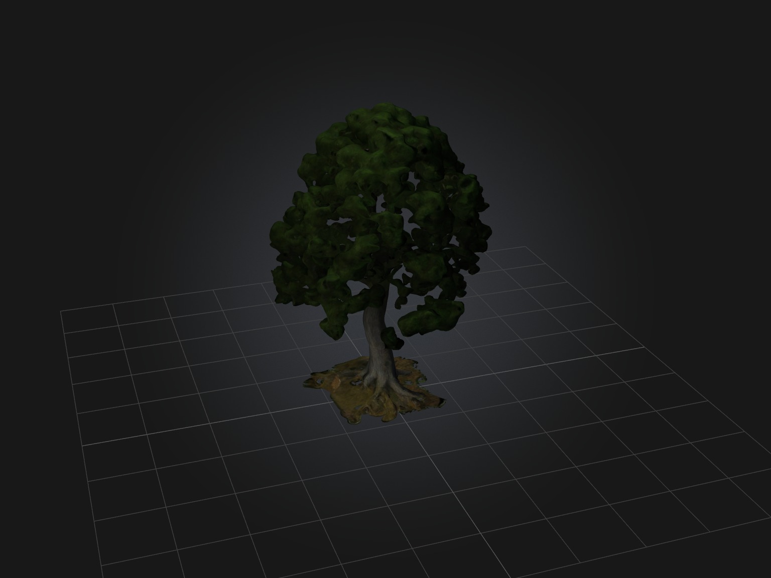 Realistic Tree Model Low-poly 3D model_6