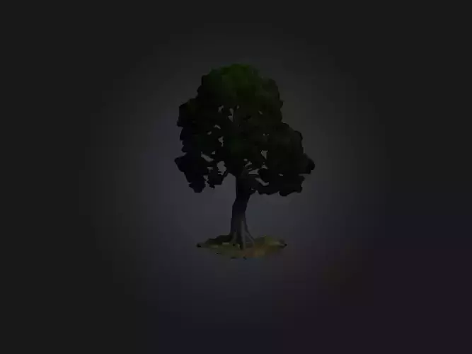 Realistic Tree Model