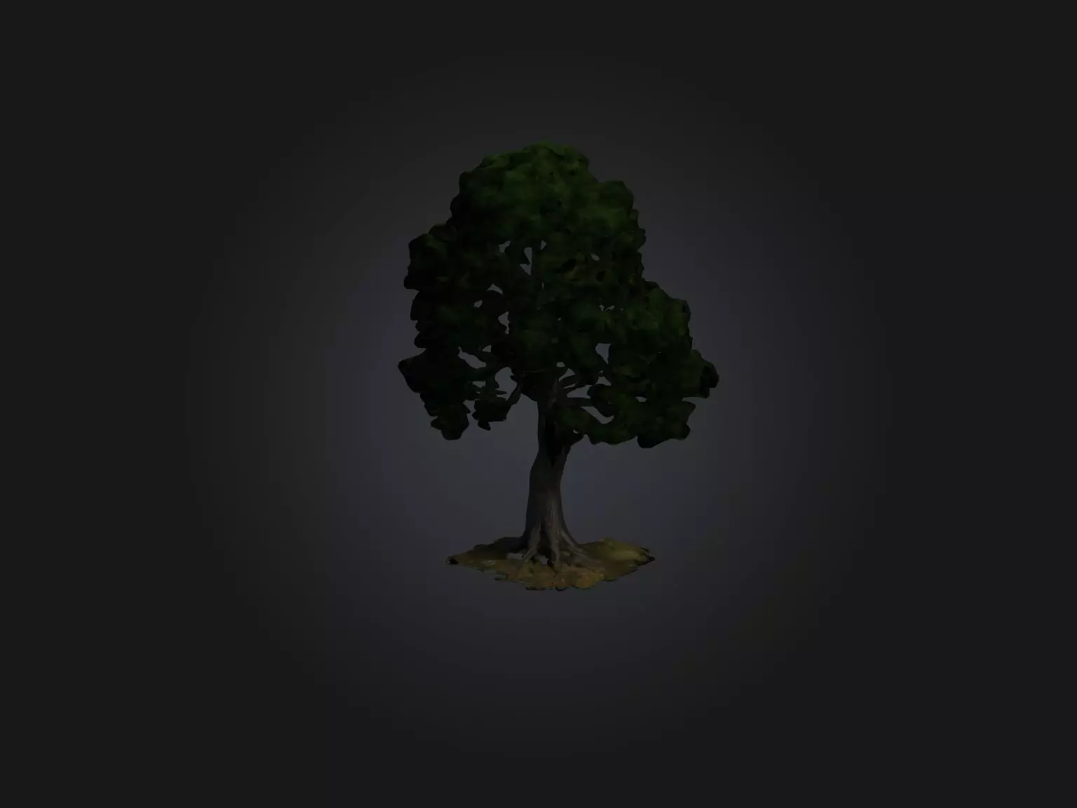 Realistic Tree Model Low-poly 3D model_0