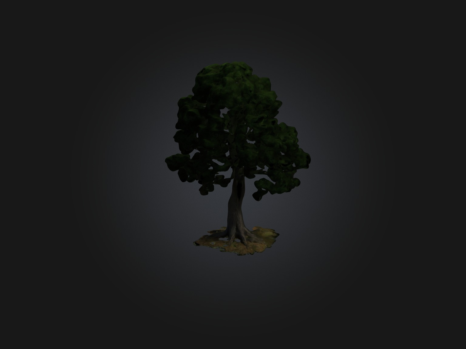 Realistic Tree Model Low-poly 3D model_1