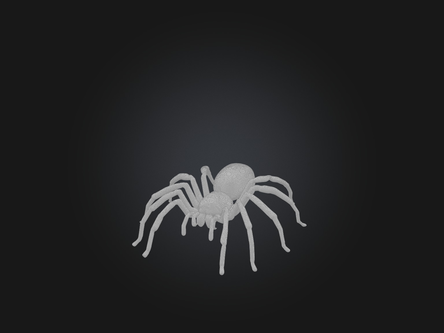 Realistic Spider Model Low-poly 3D model_2